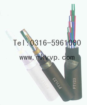 PTYV铁路信号电缆 PTYV 型号